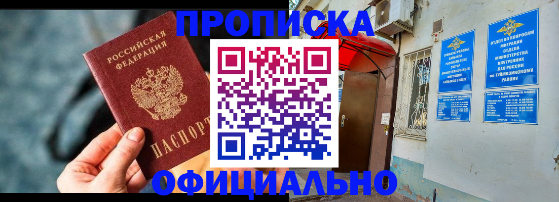 прописка 2025 в Купино